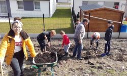 Plantations Cavalier   004